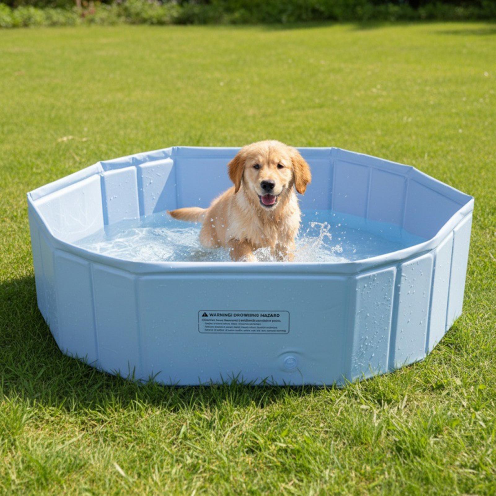 Piscina Plegable para Mascotas - Games Garden Party reseña y precio